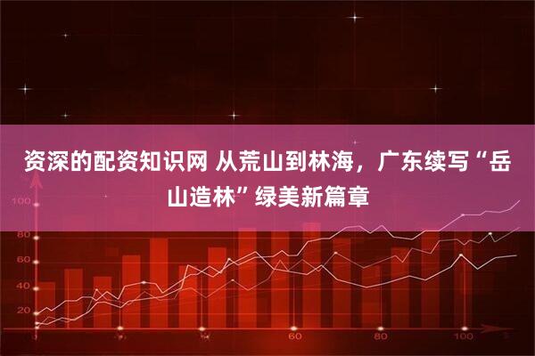 资深的配资知识网 从荒山到林海，广东续写“岳山造林”绿美新篇章