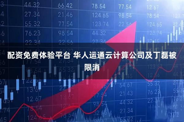 配资免费体验平台 华人运通云计算公司及丁磊被限消